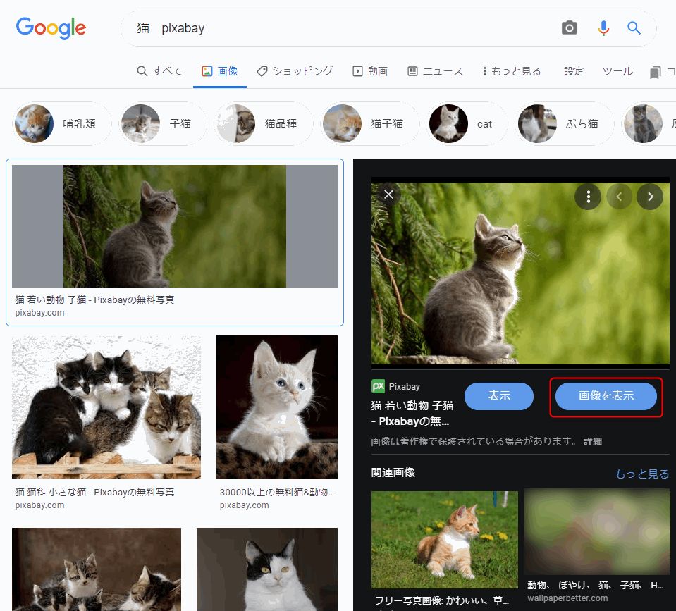 Google画像検索に復活した「画像を表示」ボタン