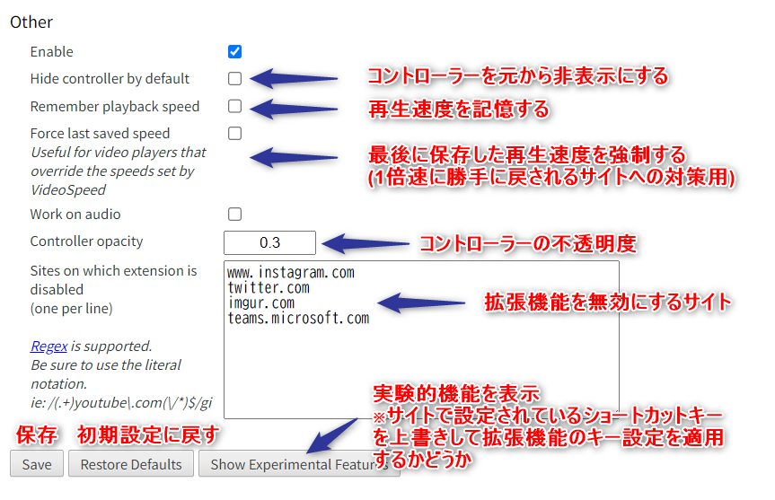 Video Speed Controllerの設定画面と各設定の日本語訳：Otherの項